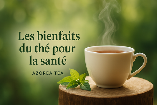 LES BIENFAITS DU THÉ POUR LA SANTÉ